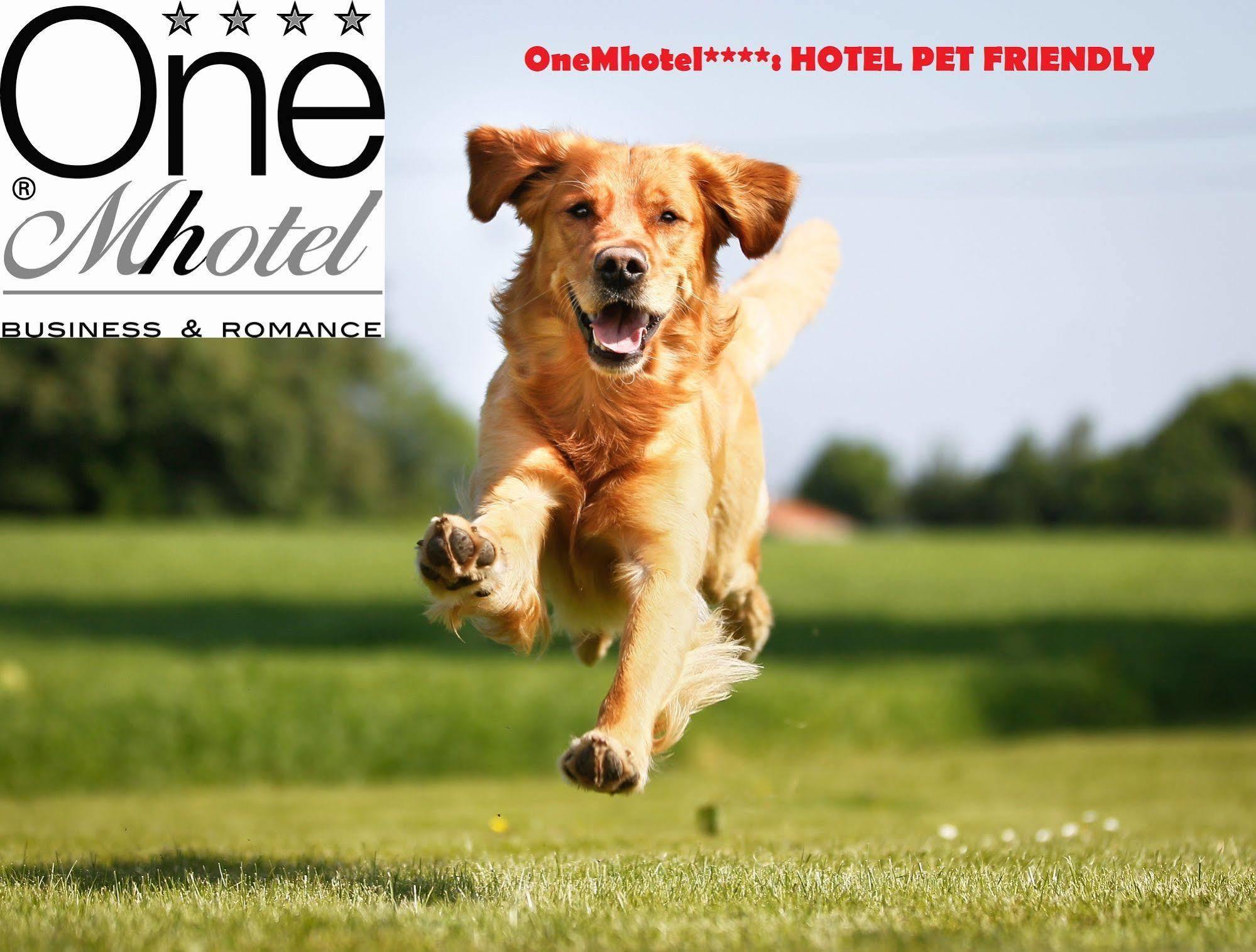 San Paolo  Onemhotel מראה חיצוני תמונה
